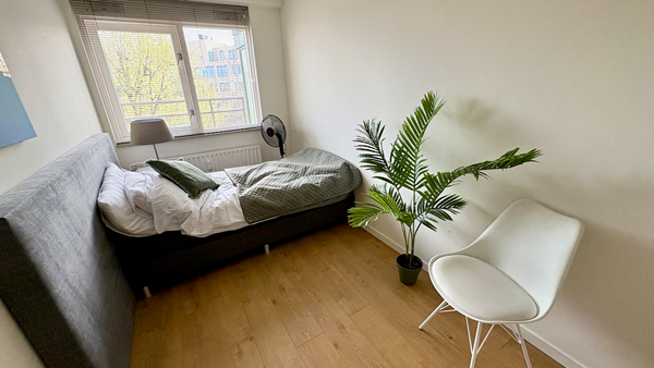 Medium property photo - Burgemeester Patijnlaan, 2585 BX The Hague